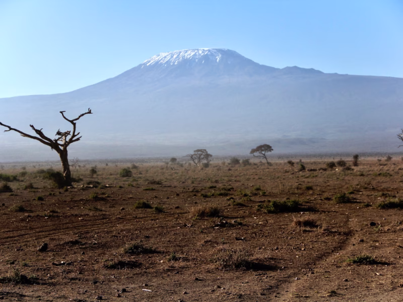 amboseli and kilimanjaro