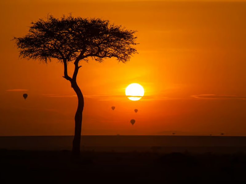 masai mara sunset